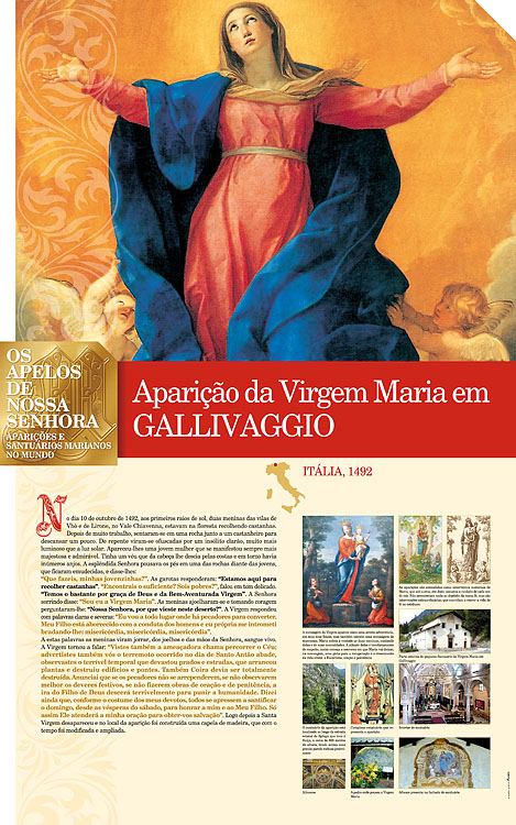 Painel oficial sobre Nossa Senhora de Gallivaggio